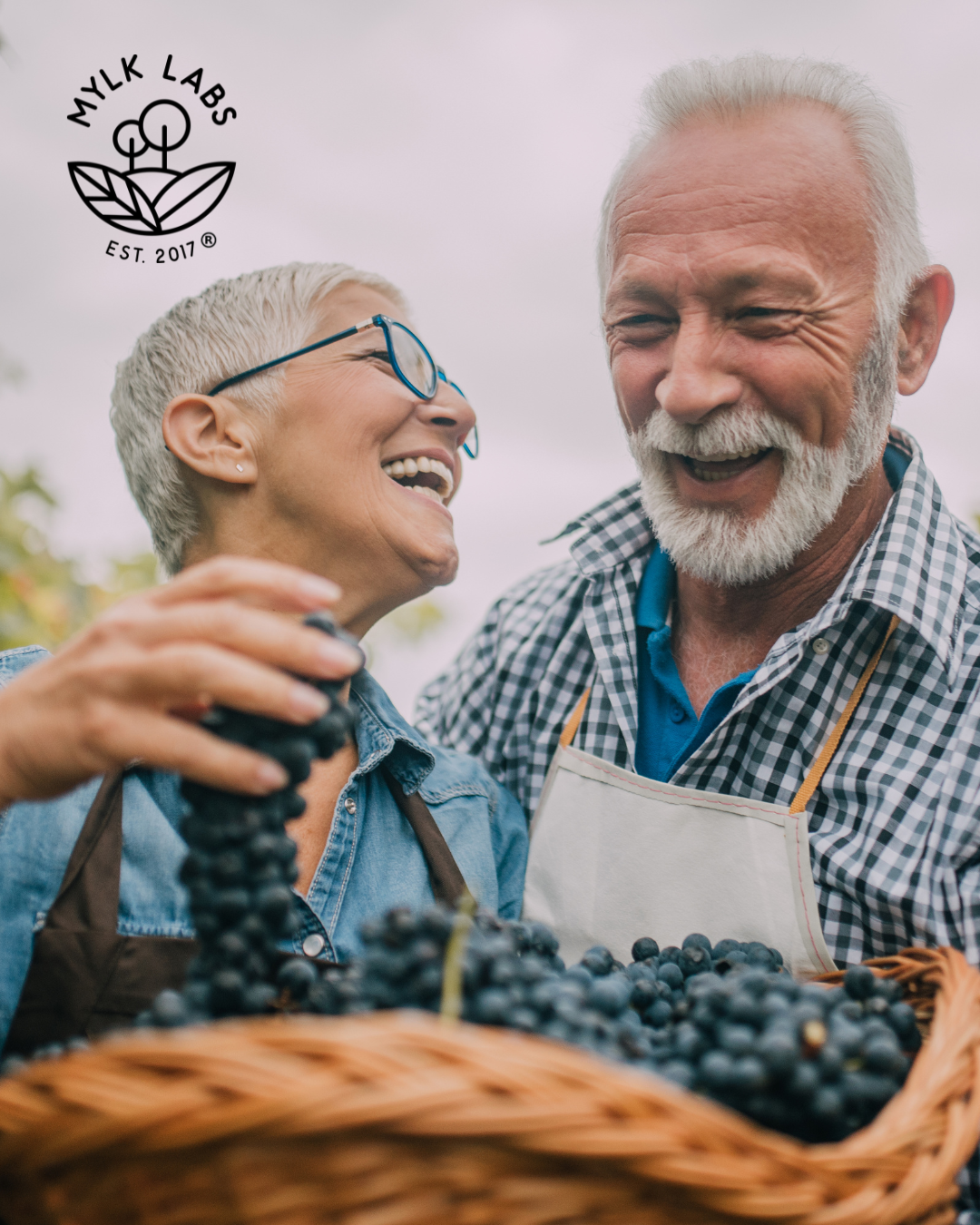 The Age-Defying Power of Oatmeal