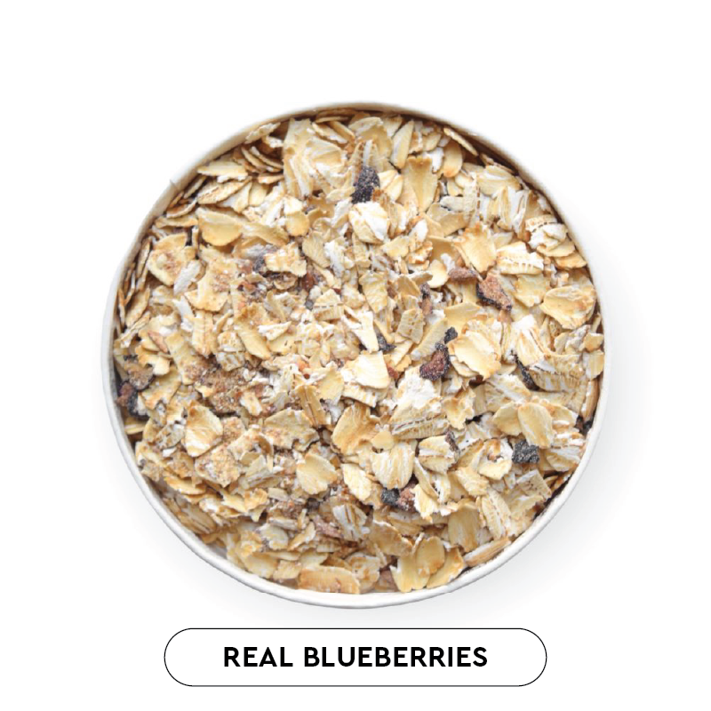 Blueberry Maple Oatmeal-Mylk Labs raw uncooked blend