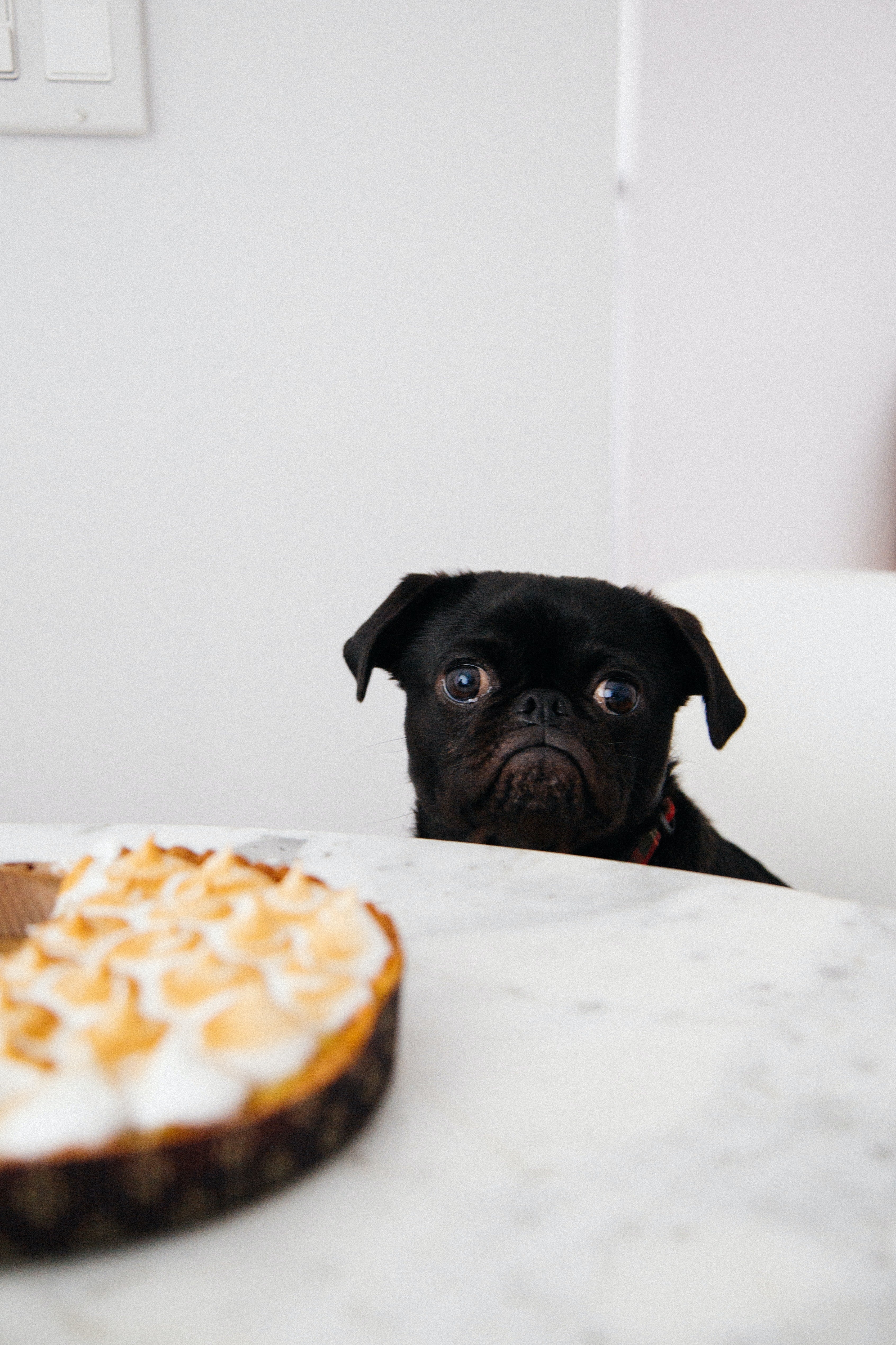 Anxiety and Overeating AKA Stress Eating